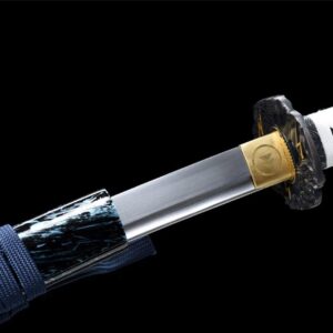 Sabre Jin Sakai