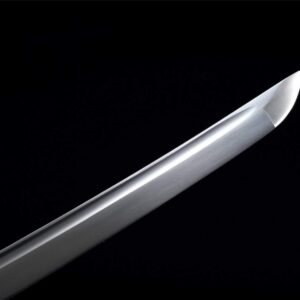 Sabre Jin Sakai